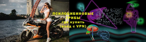PSILOCYBIN Волосово