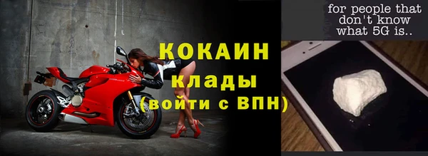 PSILOCYBIN Волосово