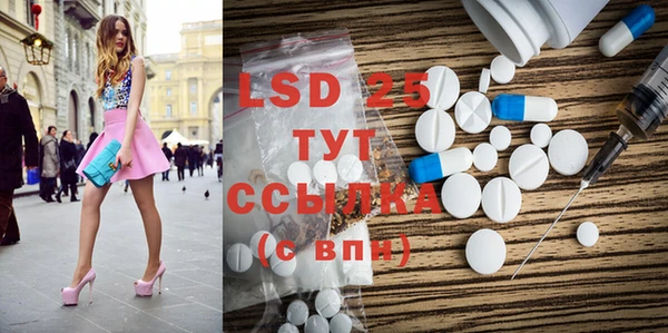 PSILOCYBIN Волосово