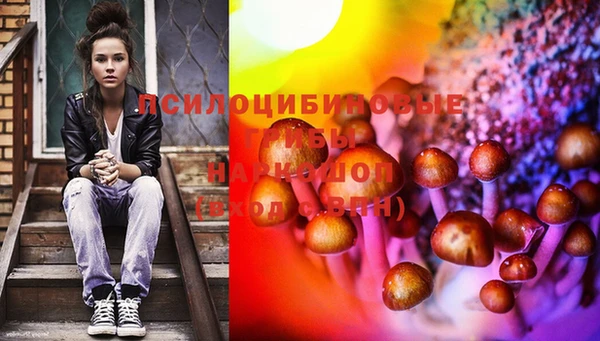 PSILOCYBIN Волосово