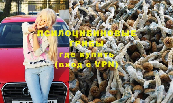 PSILOCYBIN Волосово