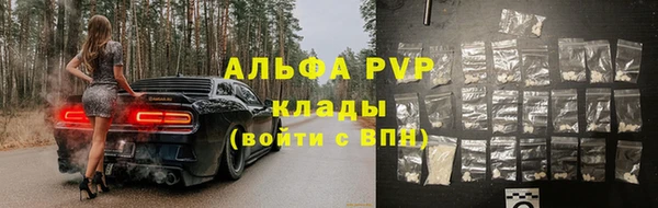 PSILOCYBIN Волосово