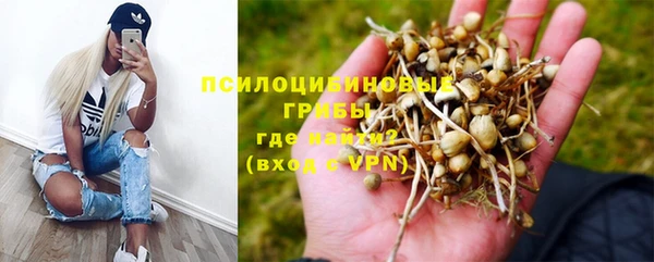 PSILOCYBIN Волосово