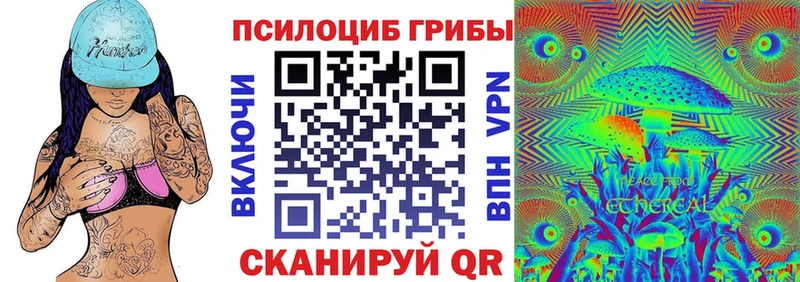ссылка на мегу ссылка  Каргополь  Псилоцибиновые грибы Cubensis 